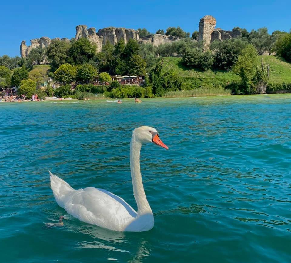 Appartamento Casa Vacanze Spiaggia D'Oro Desenzano del Garda Dış mekan fotoğraf